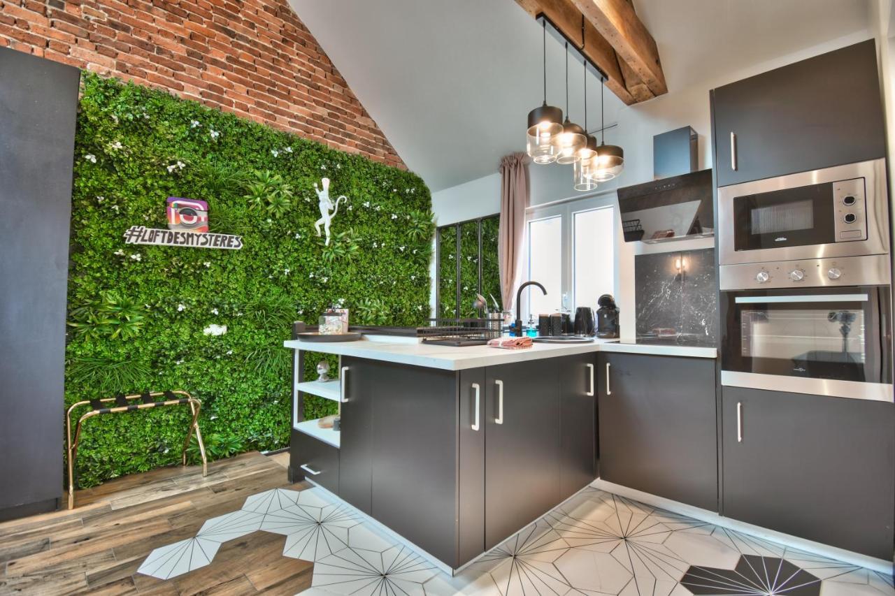 * Le Loft Des Mysteres * Apartment Maintenon Exterior photo